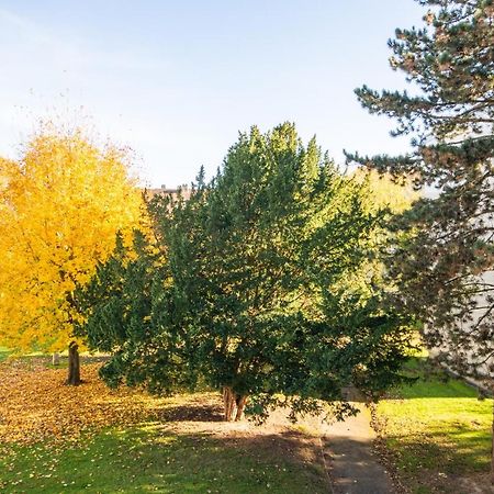 Appartement 4 Personnes 3 Chambres Tout Confort Bonsecours Exterior foto